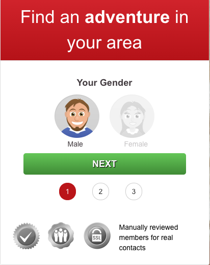 Typical login page of a Paidwings AG dating site